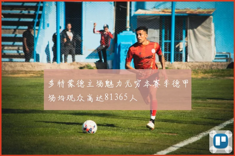 多特蒙德主场魅力无穷本赛季德甲场均观众高达81365人