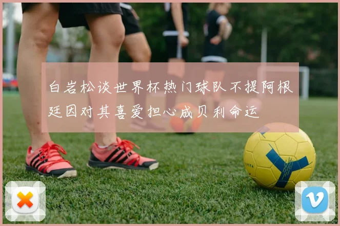 白岩松谈世界杯热门球队不提阿根廷因对其喜爱担心成贝利命运